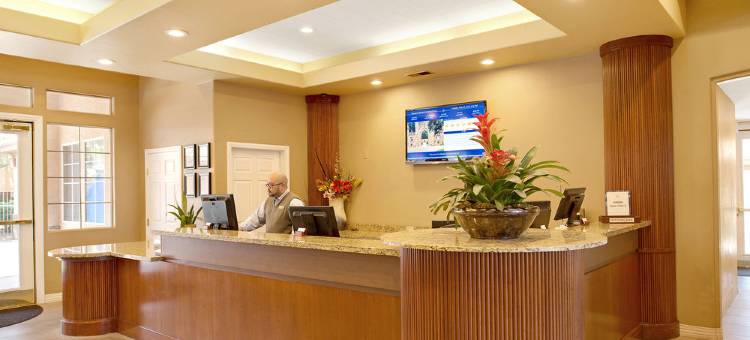 希尔顿度假俱乐部沙漠静居拉斯维加斯(Hilton Vacation Club Desert Retreat Las Vegas)图片