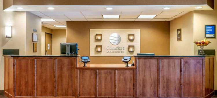 戈尔特-北洛迪舒适酒店(Comfort Inn & Suites Galt - Lodi North)图片