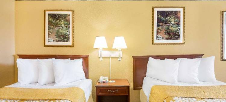 温德姆豪生酒店奥兰多/国际大道(Howard Johnson by Wyndham Orlando/International Drive)图片