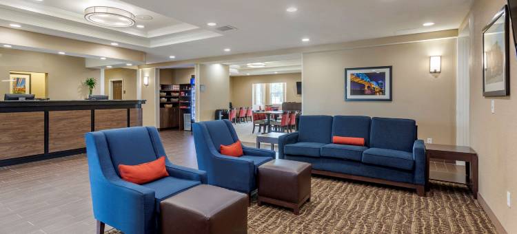 舒适套房酒店(Comfort Suites)图片