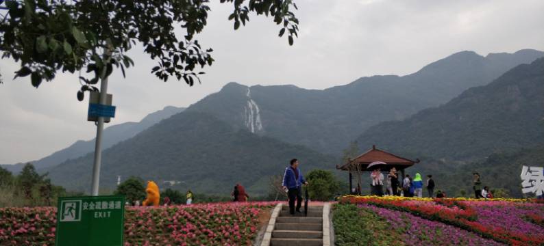 广州增城锦绣健康山谷泳池温泉别墅图片