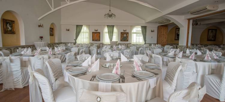 梅迪亚什 Binderbubi 美居水疗酒店(Mercure Medias Binderbubi Hotel and Spa)图片