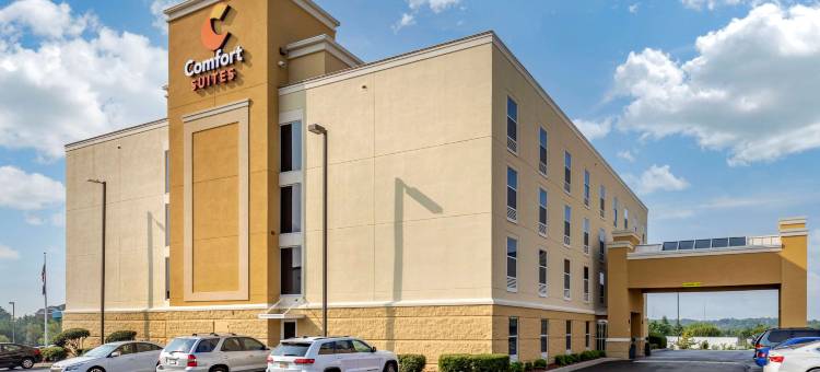 安德森舒适全套房酒店(Comfort Suites Anderson-Clemson)图片
