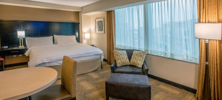 丹佛市中心Staybridge Suites(Staybridge Suites Denver Downtown)图片