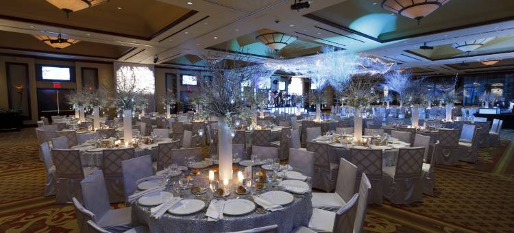 纽约斯塔腾岛希尔顿花园酒店(Hilton Garden Inn New York/Staten Island)图片