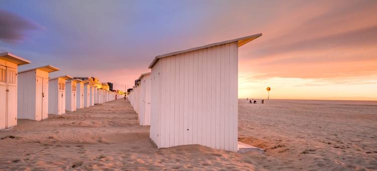 美居奥斯坦德酒店(Hotel Mercure Oostende)图片