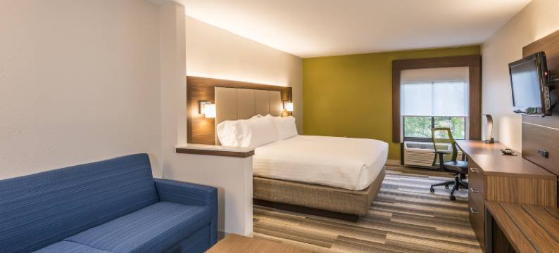 智选假日套房酒店杰克逊维尔的南(Holiday Inn Express & Suites JACKSONVILLE-SOUTH by IHG)图片