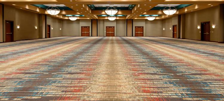 阿尔伯克基希尔顿安泊酒店(Embassy Suites by Hilton Albuquerque)图片