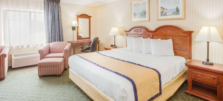 西卡拉马祖温德姆呗盟酒店(Baymont by Wyndham Kalamazoo West)图片