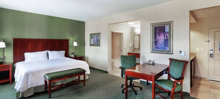 埃尔帕索西欢朋套房酒店(Hampton Inn & Suites El Paso West)图片