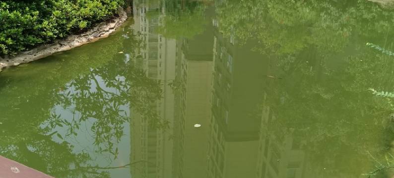 山海阁民宿(庆丰路1号分店)图片