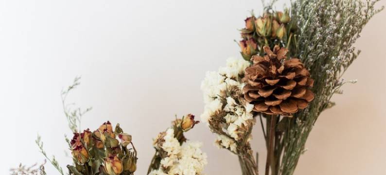 莜澜公寓(商务外环路分店)图片