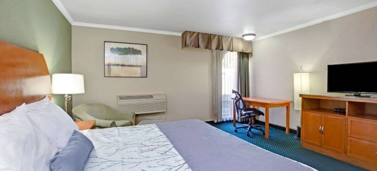 圣何塞戴斯酒店及会议中心(Days Inn by Wyndham San Jose)图片