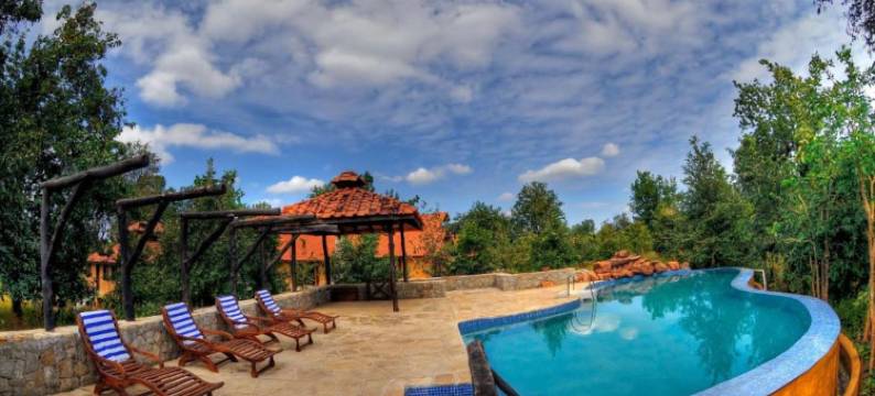 坎哈地球旅馆(Kanha Earth Lodge)图片