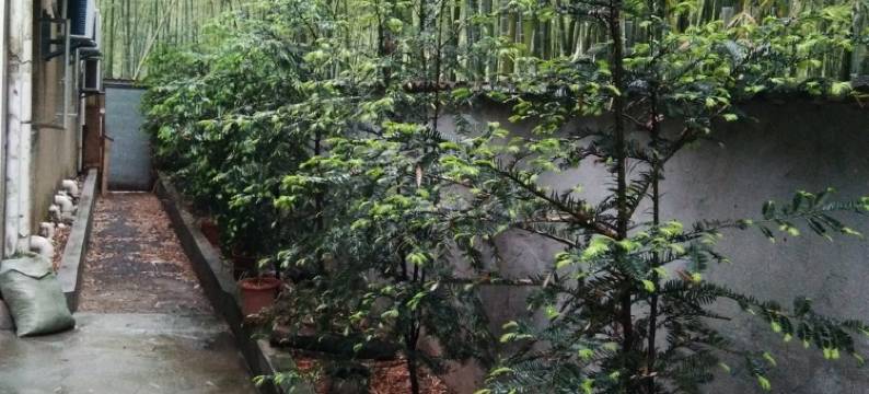 高地岭农庄(南金段分店)图片