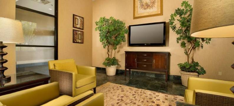 圣路易斯联合车站梨树酒店(Pear Tree Inn St. Louis Near Union Station)图片