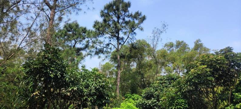 灵谷鱼道客栈(太傅大道东1号分店)图片