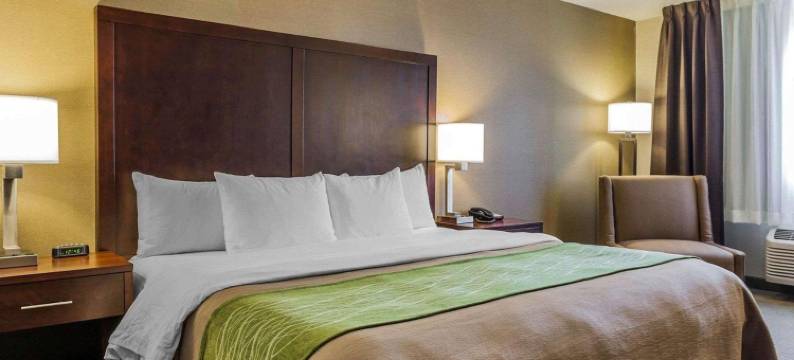 肯特-西雅图舒适酒店(Comfort Inn Kent - Seattle)图片