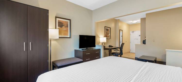 西拉伊尔德贝斯特韦斯特套房酒店(Best Western Hilliard Inn  Suites)图片