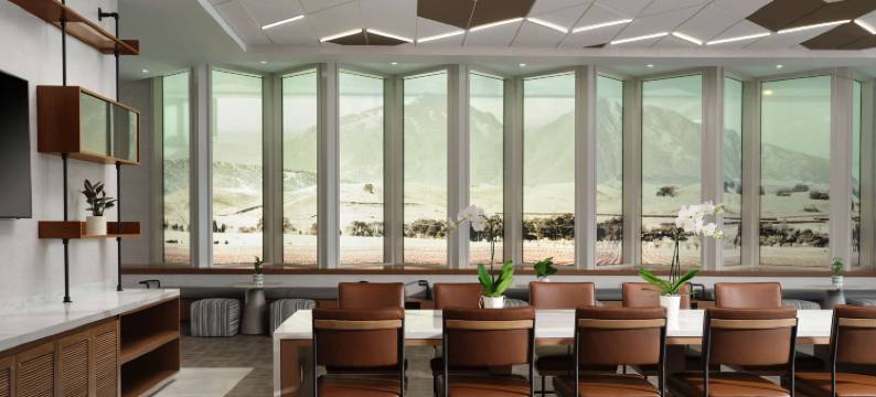 索内斯塔欧文约翰韦恩机场酒店(Sonesta Irvine John Wayne Airport)图片