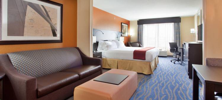 智选假日套房酒店圣路易斯NE - 兰伯特现场(Holiday Inn Express & Suites ST LOUIS AIRPORT by IHG)图片