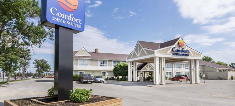 舒适套房酒店(Comfort Inn & Suites)图片