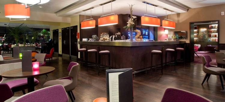 巴黎布洛涅丽笙蓝标酒店(近王子公园球场，地铁9号线)(Radisson Blu Hotel, Paris Boulogne)图片