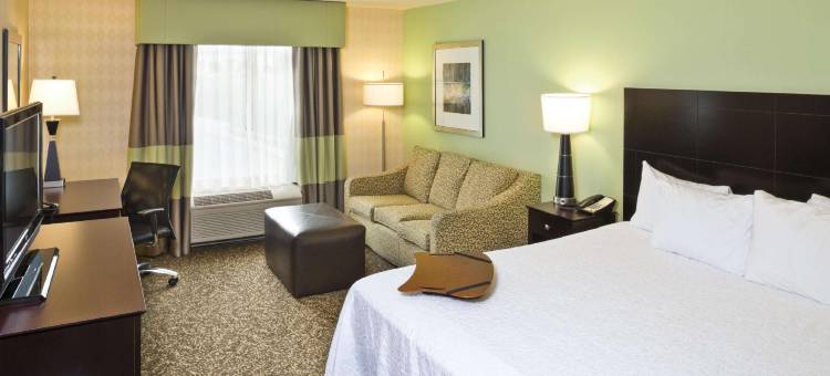 阿伦德尔·米尔斯巴尔的摩欢朋套房酒店(Hampton Inn & Suites Arundel Mills/Baltimore)图片
