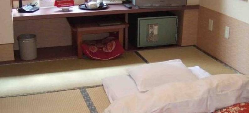 名龙旅馆(Ryokan Meiryu)图片