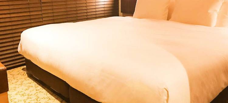 东京半藏门NEST酒店(Nest Hotel Tokyo Hanzomon)图片