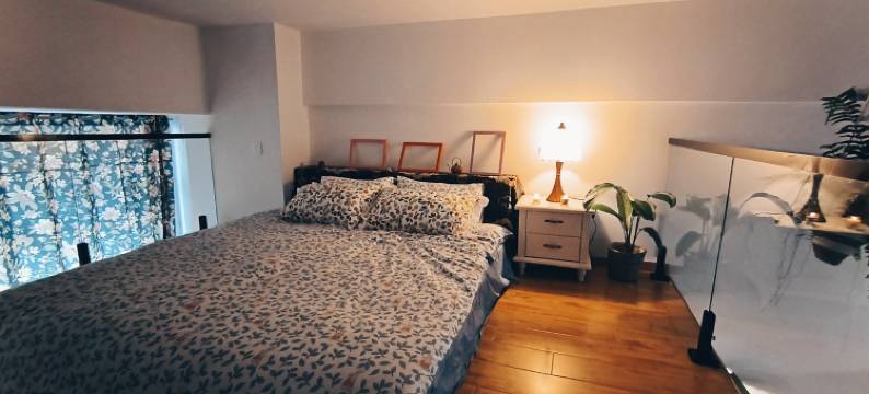 不染的民宿(新城大街分店)图片