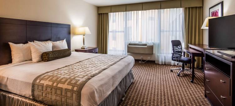 费城机场南-威得恩大学贝斯特韦斯特优质酒店(Best Western Plus Philadelphia Airport South at Widener University)图片