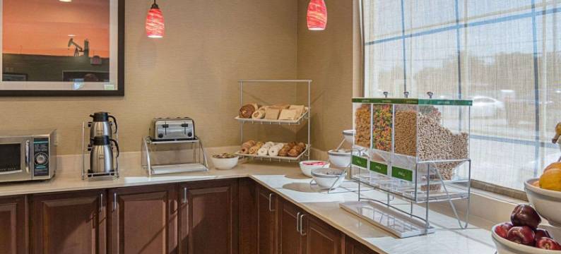 南米德兰I-20舒适酒店(Comfort Inn Midland South I-20)图片