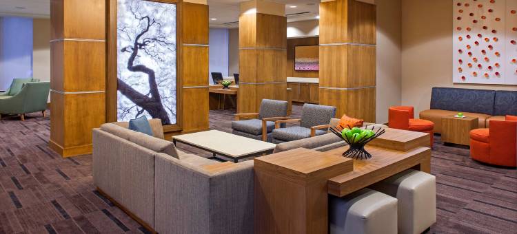 新奥尔良会议中心凯悦嘉轩酒店(Hyatt Place New Orleans Convention Center)图片