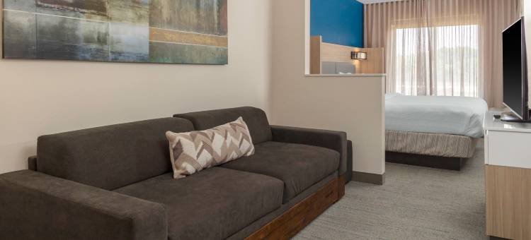 巴吞鲁日南万豪SpringHill酒店(SpringHill Suites Baton Rouge South)图片