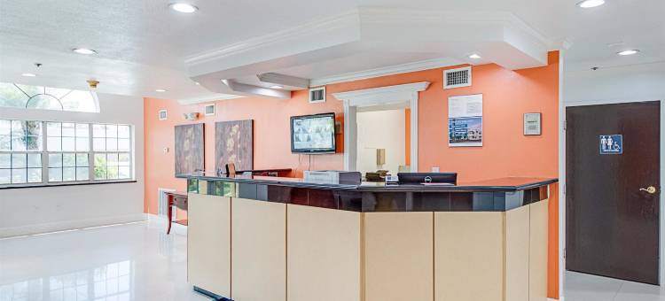 德克萨斯迈克艾伦- 东 6号汽车旅馆(Motel 6 McAllen, TX - East)图片