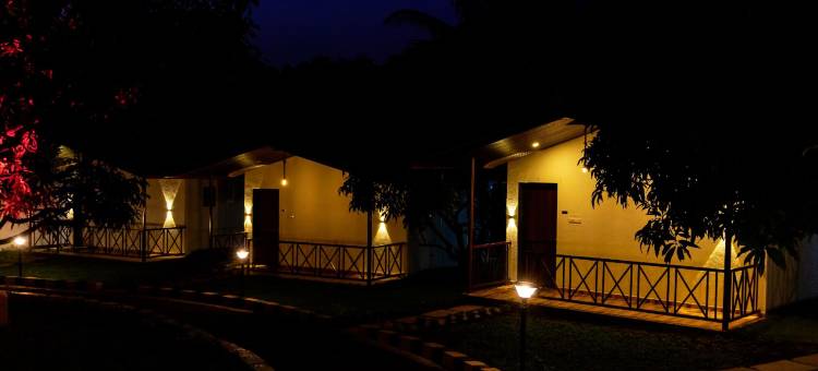 Mangozzz Magical World图片