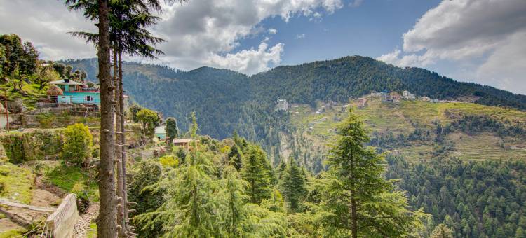 Treebo 市中心酒店, 达尔豪西(Treebo down Town, Dalhousie)图片