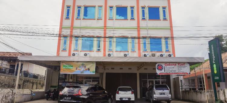 Sakura Kos RedPartner图片