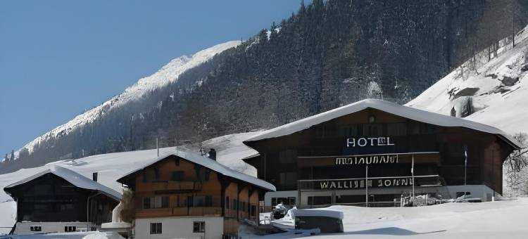 瓦里赛尔桑尼餐厅酒店(Hotel Restaurant Walliser Sonne)图片