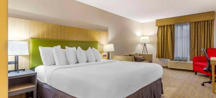 弗吉尼亚南纽波特纽斯丽怡酒店(Country Inn & Suites by Radisson, Newport News South, VA)图片