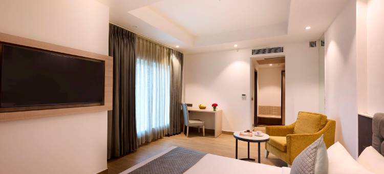 得利特萨罗瓦尔波蒂科法里达巴德(Delite Sarovar Portico Faridabad)图片