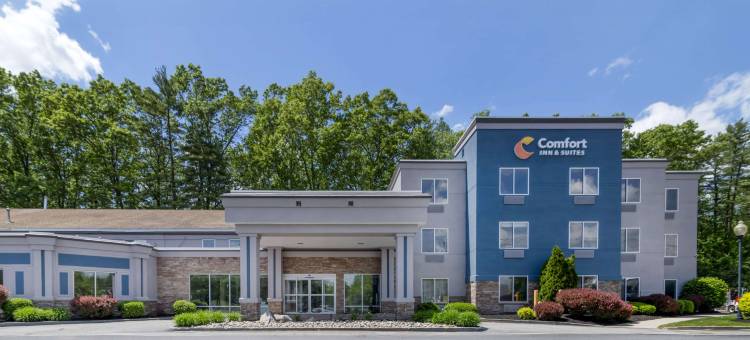 舒适酒店及套房-萨拉托加斯普林斯(Comfort Inn & Suites Saratoga Springs)图片