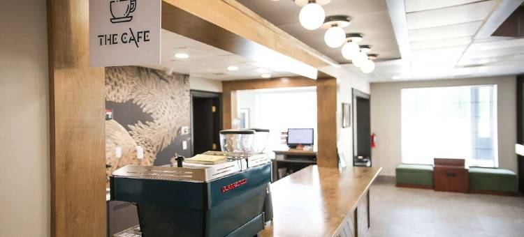 Best Western Tree City Inn图片