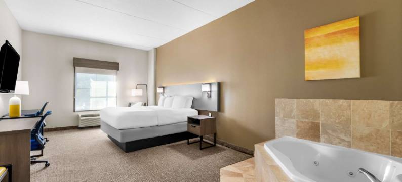 哈里曼舒适酒店(Comfort Inn)图片