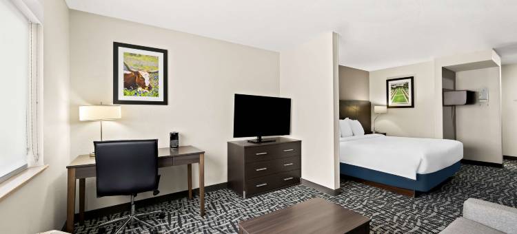 布莱恩学院站贝斯特韦斯特舒尔酒店(SureStay by Best Western Bryan College Station)图片