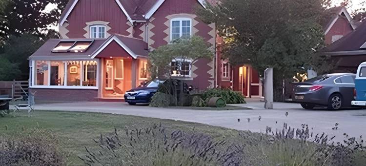 曼斯顿旅馆(Manston Guest House)图片