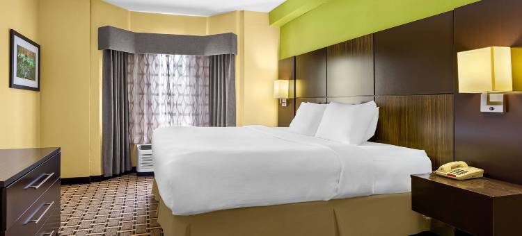 诺克斯维尔套房贝斯特韦斯特酒店(Best Western Knoxville Suites - Downtown)图片