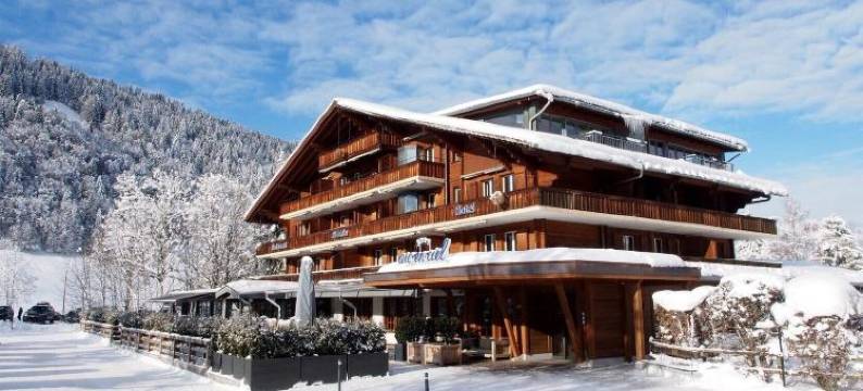 格施塔德阿肯希尔酒店(Hotel Arc-en-Ciel Gstaad)图片