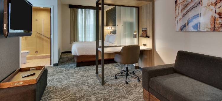 伯明翰市中心uab万豪SpringHill酒店(SpringHill Suites Birmingham Downtown at UAB)图片